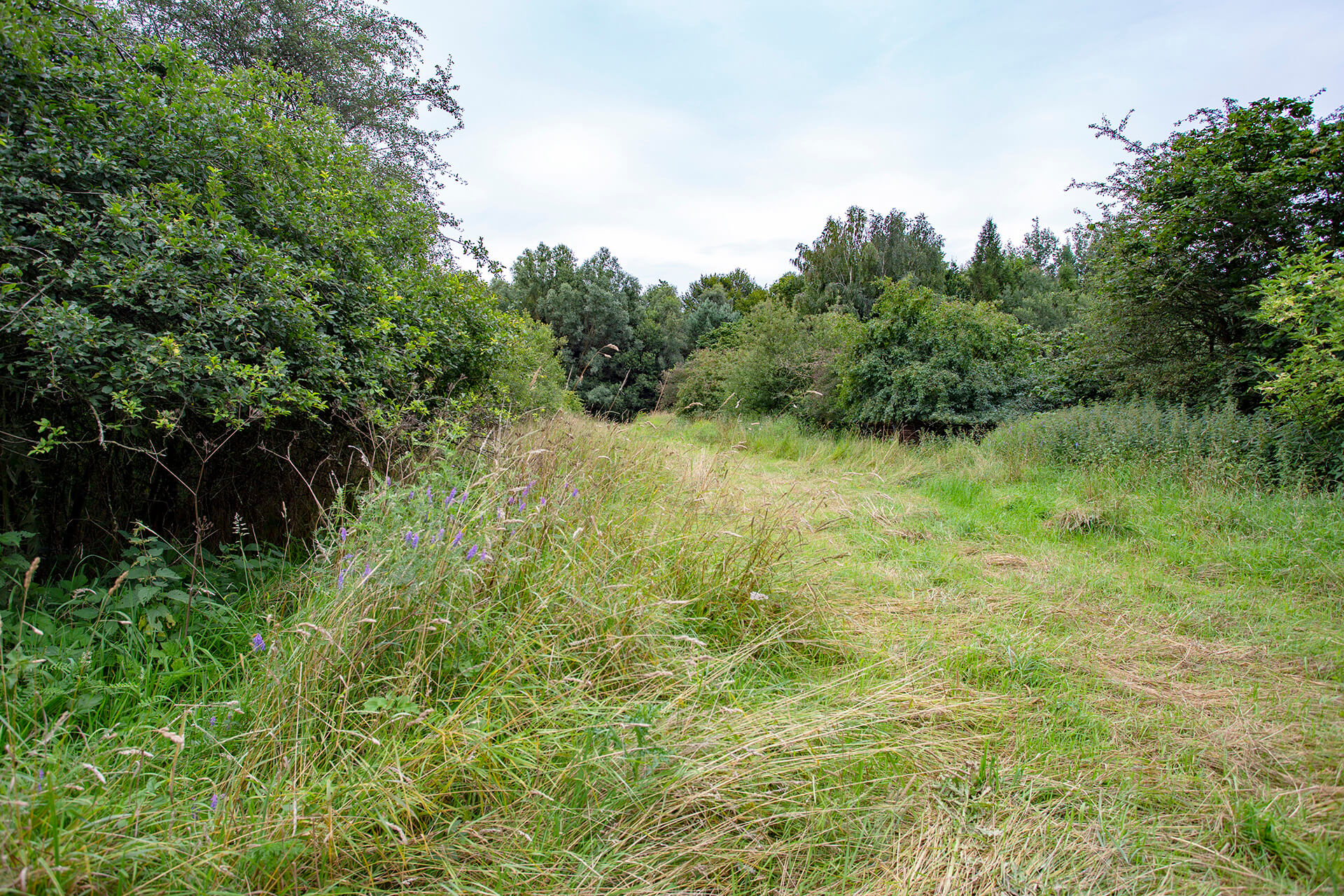 Ecoduct Boerskotten 1