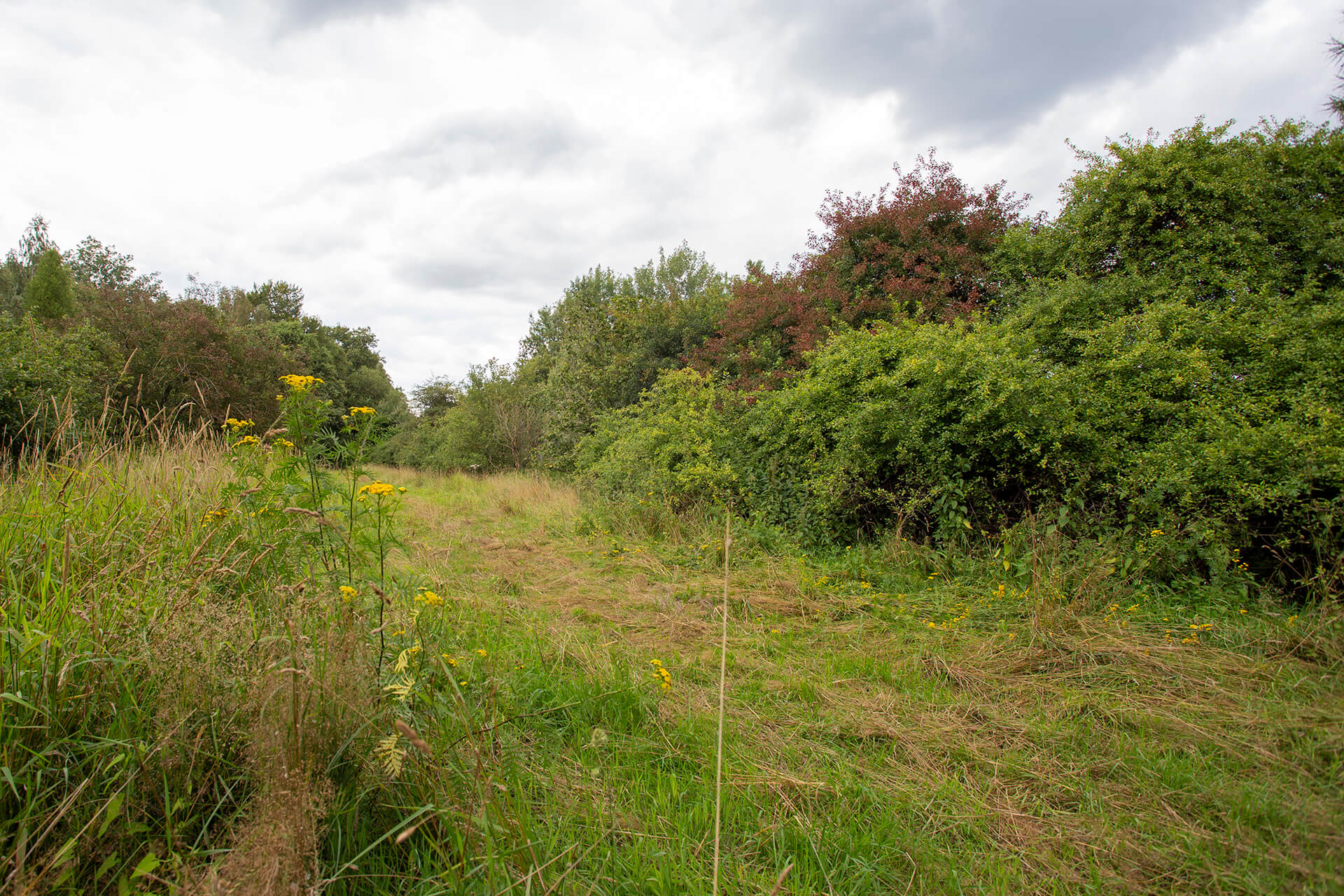 Ecoduct Boerskotten 6