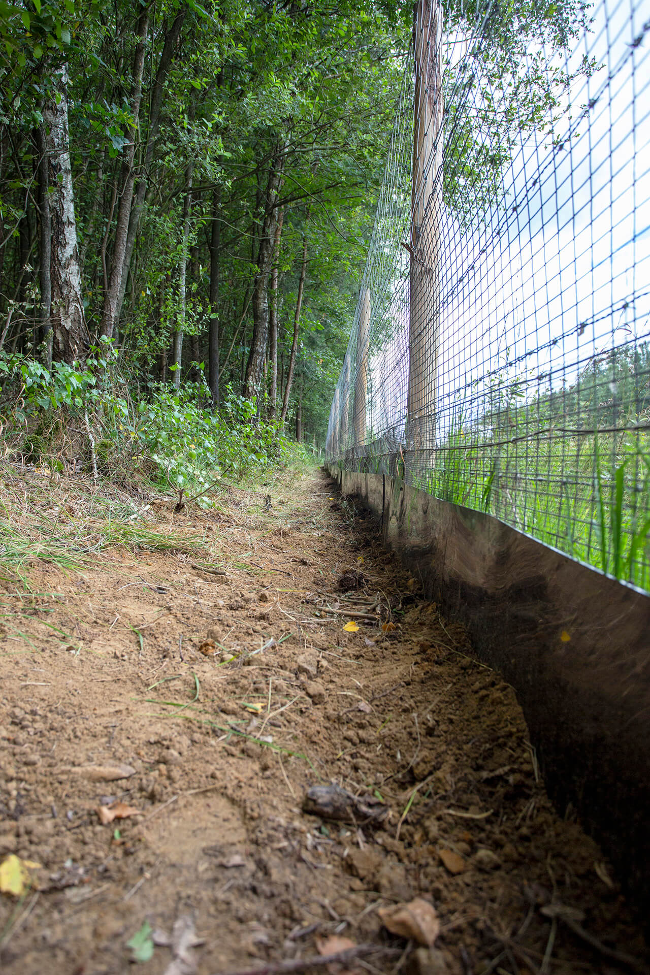 Ecoduct Boerskotten 7